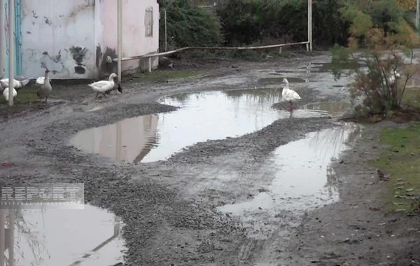 Ucarın acınacaqlı vəziyyətdə olan yolları - FOTO