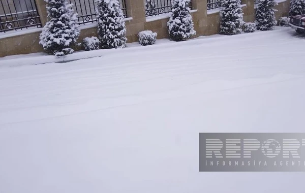 В Шуше выпало 10 см снега - ВИДЕО