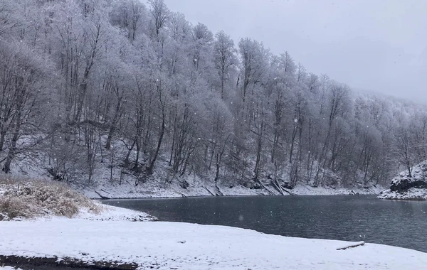 Göygöl Milli Parkından əsrarəngiz qar görüntüləri - FOTO