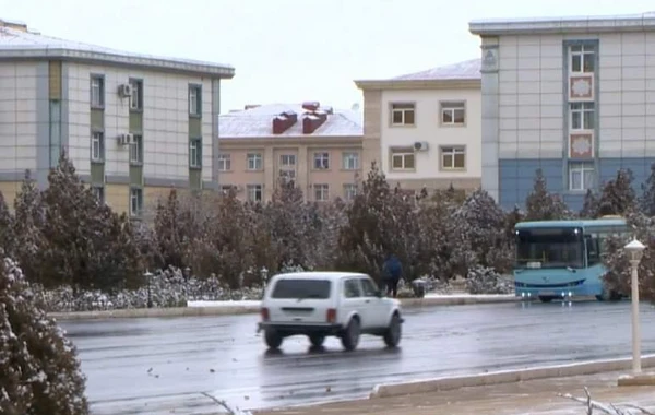 Naxçıvan şəhərinə ilk qar yağıb - FOTO