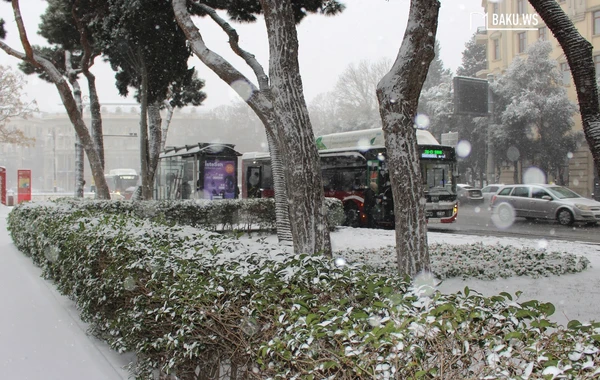 Qarlı hava ilə bağlı valideynlərə MÜRACİƏT EDİLDİ - "Övladlarınızı..."