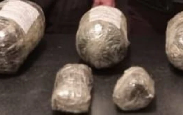 Keçmiş məhkumlardan 2 kiloqram marixuana götürülüb - FOTO