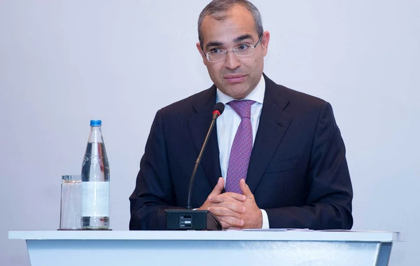 Mikayıl Cabbarov: "Pandemiyadan zərər çəkmiş sahibkarlara 41 milyon manat ödənilib" - FOTO