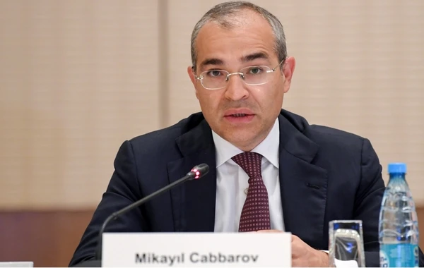 Mikayıl Cabbarov: "Ötən il dövlət büdcəsinə vergi daxilolmaları 82,2 % artıb" - FOTO