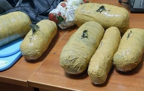 Göygöldə əməliyyat: Qanunsuz narkotik və silahlar aşkarlandı - FOTO