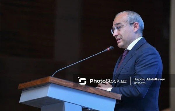 Nazir: “İZİA-nın 30 sahibkarlıq subyektinə rezident statusu verilib” - FOTO