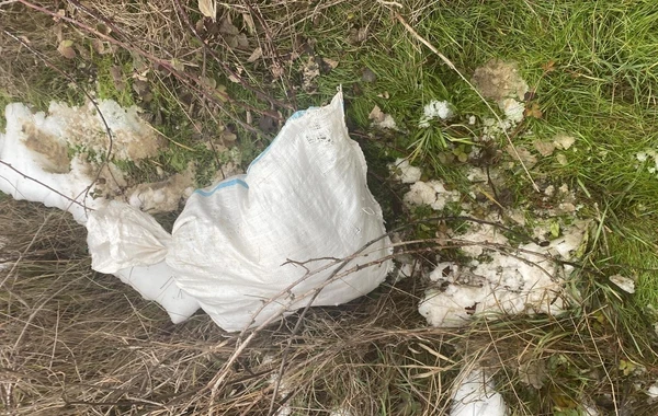 Qaçaqmalçılıq yolu ilə İrandan narkotik keçirilməsinin qarşısı alınıb - FOTO