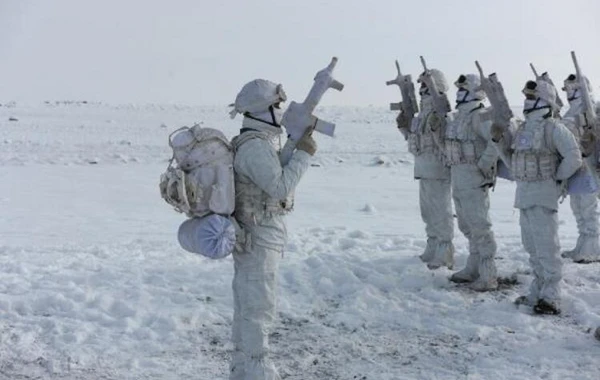 Военная техника армии Азербайджана продемонстрирована на учениях в Турции - ФОТО