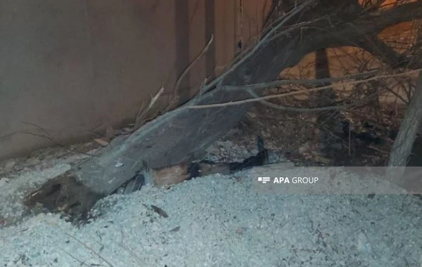 Bakıda idarəetmədən çıxan maşın ağac və qaz dirəyini qoparıb - FOTO