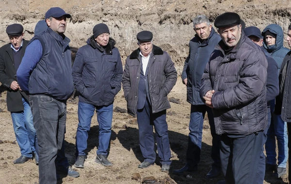 Laçına gətirilmiş yak sürüsünün yerli şəraitə adaptasiya prosesi davam edir - FOTO