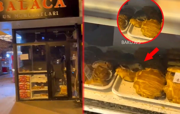Bakıda siçan gəzən şirniyyat mağazası bağlandı - RƏSMİ - VİDEO