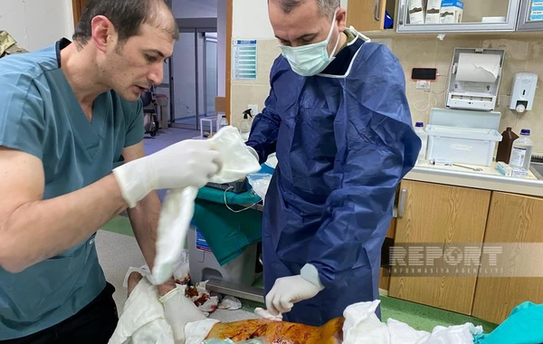 Азербайджанские врачи принимают активное участие в эвакуации пострадавших в ходе землетрясения в Турции
