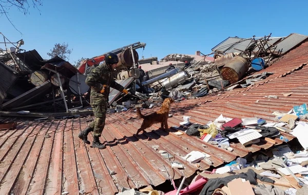 Азербайджанские спасатели в Турции спасли из-под завалов 44 человека - ВИДЕО