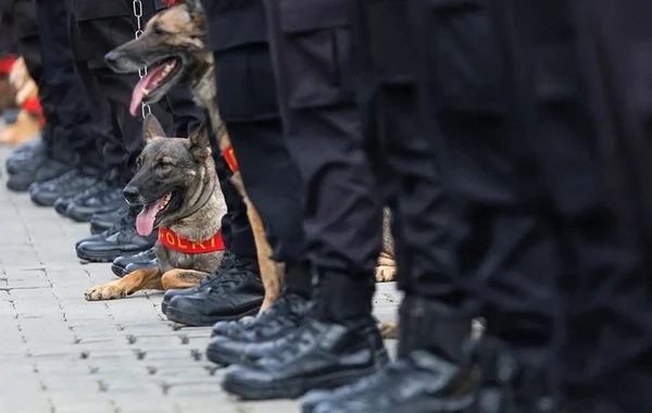 Türkiyəyə kömək edən ölkələr, Azərbaycan ilk pillədədir - SİYAHI - CƏDVƏL/FOTO