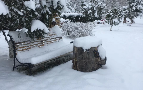 Azərbaycan parklarının qış görüntüləri - FOTOREPORTAJ