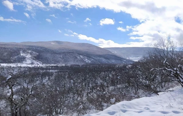 Azərbaycan parklarının qış görüntüləri - FOTOREPORTAJ