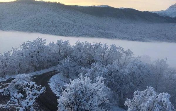 Azərbaycan parklarının qış görüntüləri - FOTOREPORTAJ