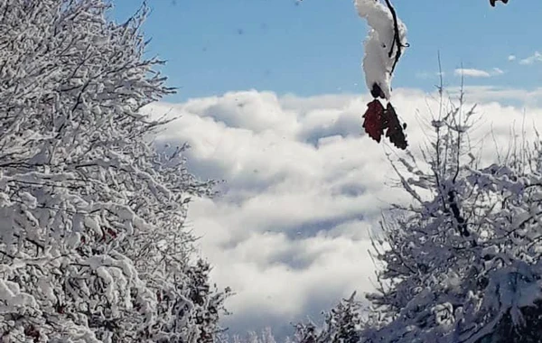 Azərbaycan parklarının qış görüntüləri - FOTOREPORTAJ