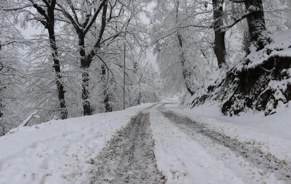 Azərbaycan parklarının qış görüntüləri - FOTOREPORTAJ