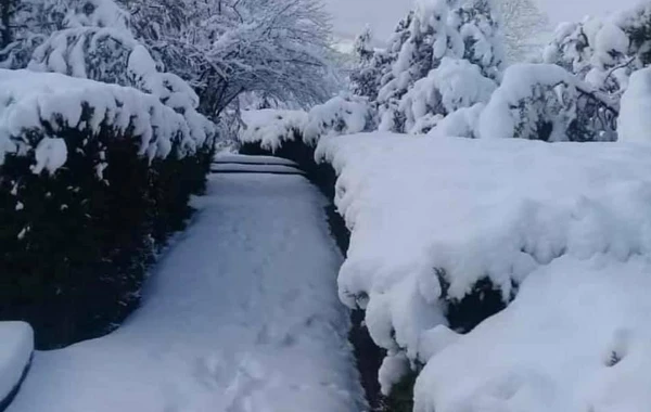 Azərbaycan parklarının qış görüntüləri - FOTOREPORTAJ