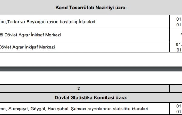 Maliyyə pozuntuları aşkarlanan qurumların siyahısı açıqlanıb - CƏDVƏL
