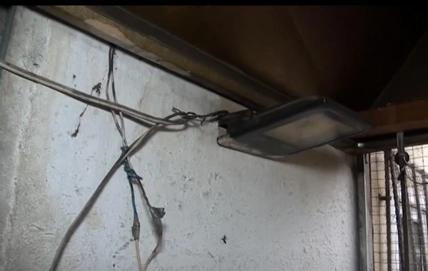 В Баку приостановлена деятельность пожароопасного объекта - ВИДЕО