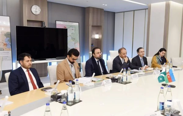Президент SOCAR встретился с представительской делегацией Пакистана - ФОТО