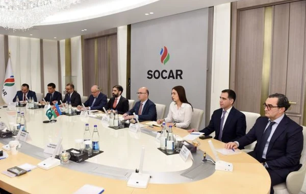 Президент SOCAR встретился с представительской делегацией Пакистана - ФОТО