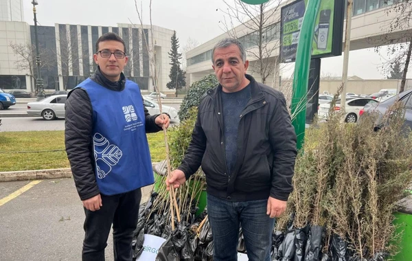 Şüşə, işlənmiş batareya və plastik tullantı təhvil verən vətəndaşlara ağac tingləri paylanılıb - FOTO