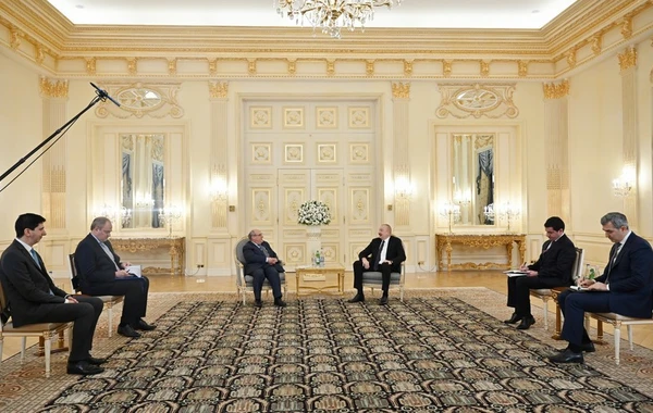 Prezident Beynəlxalq Miqrasiya Təşkilatının Baş direktorunu qəbul edib - FOTO - YENİLƏNİB