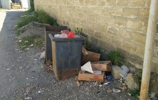 Qanunsuz küçə ticarəti ilə məşğul olan və ətraf mühiti çirkləndirənlər cərimələnib - FOTO