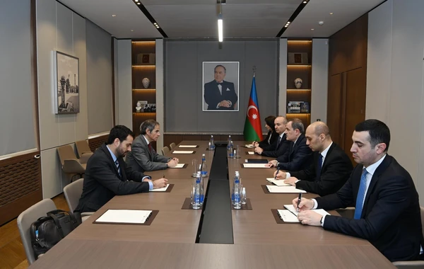 Azərbaycan XİN başçısı AEBA direktoru ilə Metsamor AES-in təhlükəsizliyi məsələsini müzakirə edib - FOTO