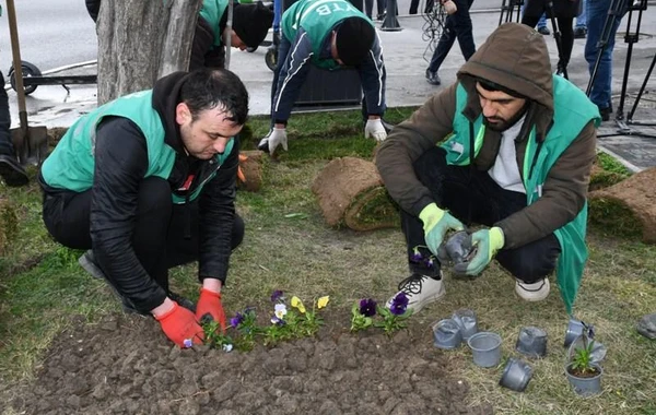 Bu gün Bakının 370 küçəsi yuyulub - FOTO
