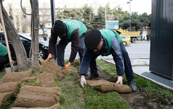 Bu gün Bakının 370 küçəsi yuyulub - FOTO