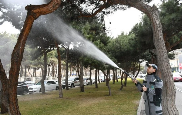 Bu gün Bakının 370 küçəsi yuyulub - FOTO