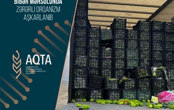 İrandan Azərbaycana gətirilən 13 ton bibərdə zərərli orqanizm aşkarlanıb