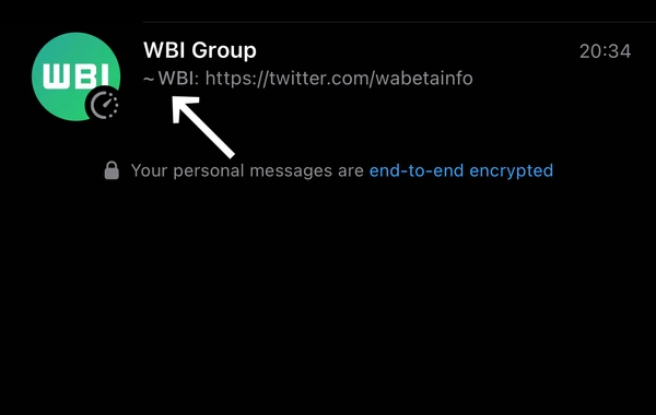 "WhatsApp"dan növbəti yenilik - FOTO