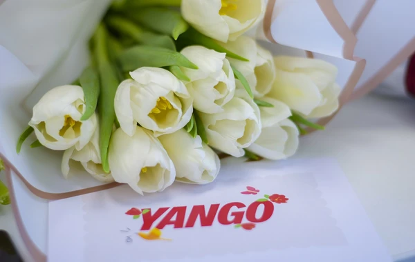 Yango qadın sürücüləri 8 Mart münasibətilə təbrik edib - FOTO