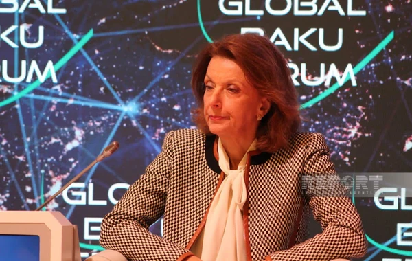 Bakı Forumu: “Yaxın Şərq və ətrafında sülh, stabillik və inkişaf axtarışı” mövzusunda panel iclası keçirilib - YENİLƏNİB
