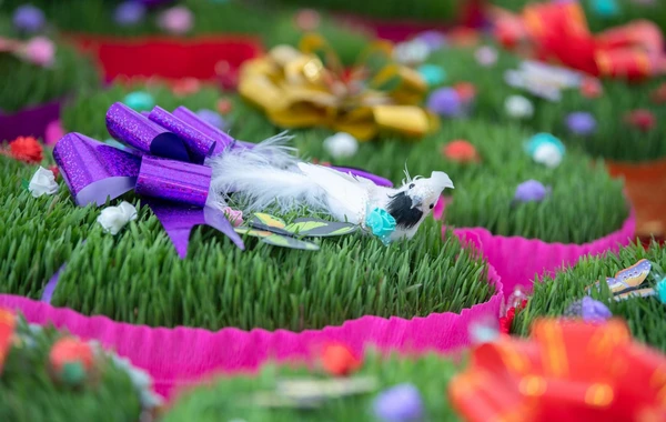 “Kənddən şəhərə” Novruz yarmarkası fəaliyyətə başlayıb - FOTO