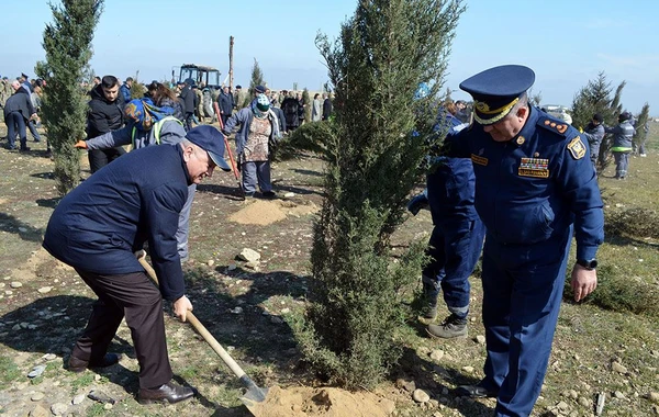 Azərbaycan Ordusunda ağacəkmə aksiyaları keçirilib - FOTO