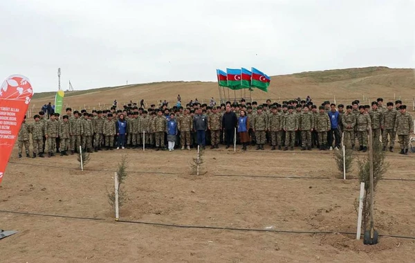 Azərbaycan Ordusunda ağacəkmə aksiyaları keçirilib - FOTO