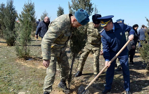 Azərbaycan Ordusunda ağacəkmə aksiyaları keçirilib - FOTO