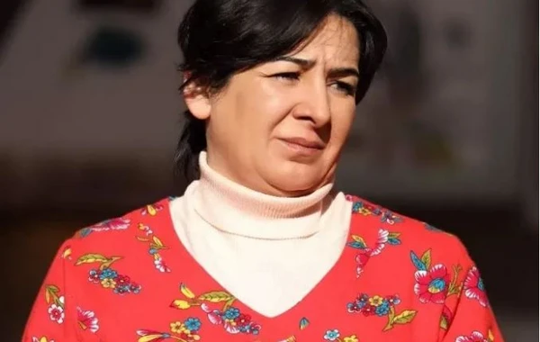 Tanınmış aktrisanın başına daş düşdü - FOTO