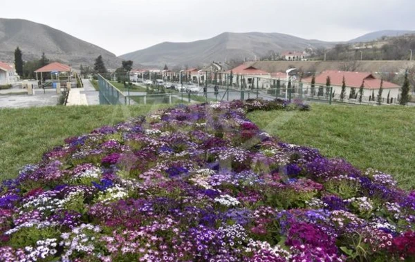 Talış kəndindən reportaj: Böyük Qayıdışın növbəti ünvanı - FOTO