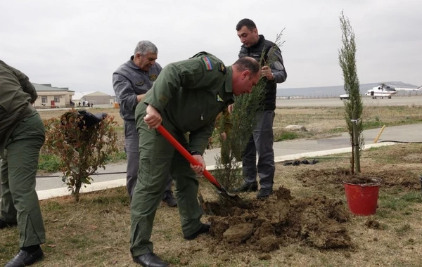 FHN-in Aviasiya dəstəsində “Heydər Əliyev İli” çərçivəsində ağacəkmə aksiyası keçirilib - FOTO