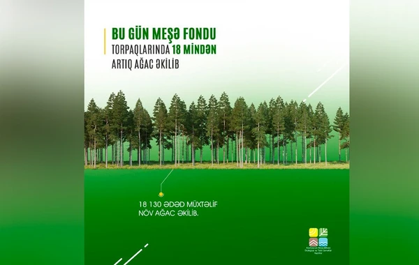 Bu gün meşə fondu torpaqlarında 18 mindən çox ağac əkilib