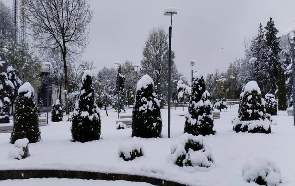 Qəbələyə güclü QAR YAĞIB - FOTO