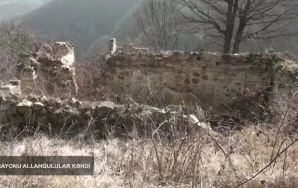 Кадры из двух перешедших под контроль азербайджанской армии сел Шушинского района - ВИДЕО