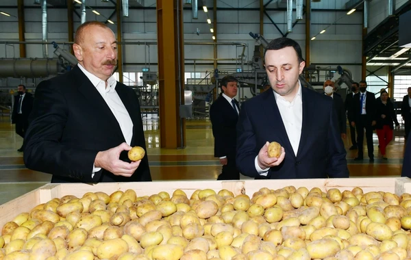 İlham Əliyev və İrakli Qaribaşvili Qəbələ Qida Şəhərciyində olublar - FOTO